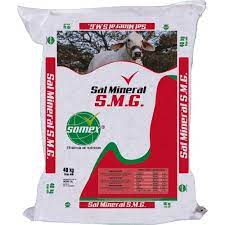 SAL SOMEX SMG * 40 KG