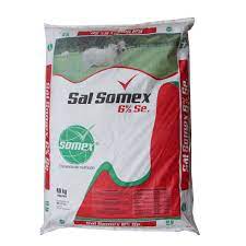 SAL SOMEX 6%* 40 KL