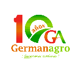 My Website